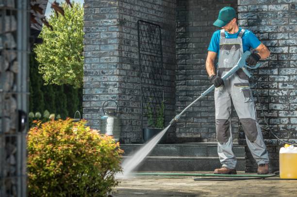Best Driveway Pressure Washing  in Coalfield, TN