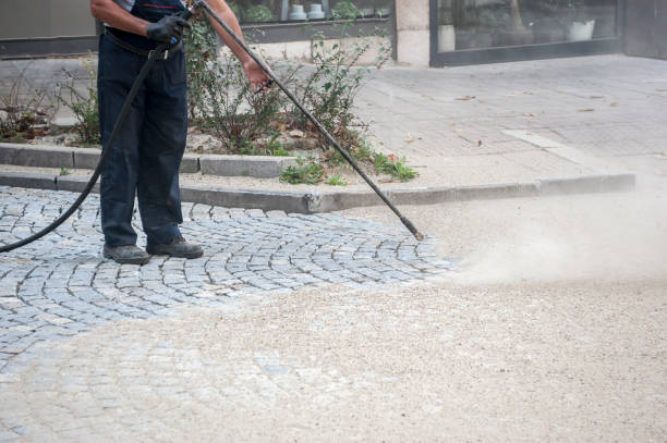 Best House Exterior Washing  in Coalfield, TN